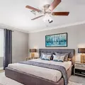 Room for rent in Chandler #1