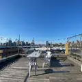 Studio Apartment for rent in Columbia Street Waterfront - Brooklyn, New York