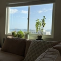 Room for rent in Little Italy #1