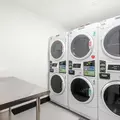 1 bedroom apartment for rent in Jersey City - Jersey City / Hoboken, New York