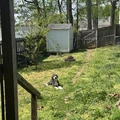 Room for rent in Cleveland Park #6
