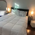 Room for rent in Town 'n' Country #1