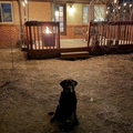 Room for rent in Belcaro #13