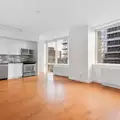 Studio Apartment for rent in Fort Greene - Brooklyn, New York