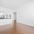 1 bedroom apartment for rent in Fort Greene - Brooklyn, New York