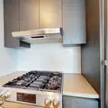 1 bedroom apartment for rent in Flushing - Queens, New York