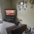 Room for rent in Maitland #3