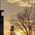 Room for rent in Rundle #7