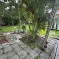 Room for rent in Coconut Grove #3