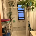 Room for rent in Kensington #2