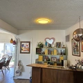 Room for rent in Studio City #12