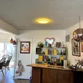 Room for rent in Studio City #12