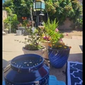 Room for rent in Torrance #2
