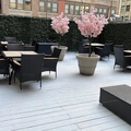 Room for rent in Midtown East #3
