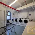 1 bedroom apartment for rent in Flushing - Queens, New York