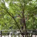 1 bedroom apartment for rent in East Village - Manhattan, New York