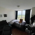 Room for rent in Tunney's Pasture #1