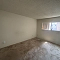 Room for rent in Westwood #3