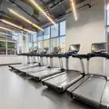 1 bedroom apartment for rent in Fort Greene - Brooklyn, New York