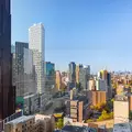 1 bedroom apartment for rent in Fort Greene - Brooklyn, New York