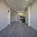1 bedroom apartment for rent in Flatbush Ditmas Park - Brooklyn, New York
