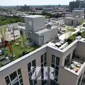 1 bedroom apartment for rent in Crown Heights - Brooklyn, New York
