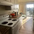 Room for rent in Panhandle #2