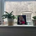 Room for rent in Rogers Park #5
