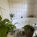 Room for rent in Irvine #9