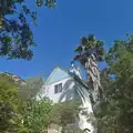 Room for rent in Irvine #3