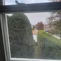 Room for rent in Weehawken #3