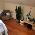 Room for rent in Haight Ashbury #6