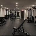 1 bedroom apartment for rent in Harlem - Manhattan, New York