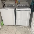 Room for rent in Zephyrhills #4