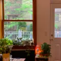 Room for rent in Greenpoint #13