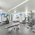 Studio Apartment for rent in Williamsburg - Brooklyn, New York