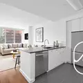 1 bedroom apartment for rent in Fort Greene - Brooklyn, New York