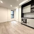 Studio Apartment for rent in Flatbush Ditmas Park - Brooklyn, New York
