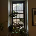 Studio Apartment for rent in West Village - Manhattan, New York