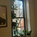 Studio Apartment for rent in West Village - Manhattan, New York