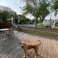 Room for rent in Hazeldean #6