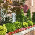 Studio Apartment for rent in Midwood - Brooklyn, New York