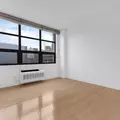 1 bedroom apartment for rent in LIC - Queens, New York