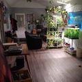 Room for rent in Hamilton #1