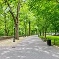 2 bedrooms apartment for rent in Morningside Heights - Manhattan, New York