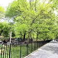 2 bedrooms apartment for rent in East Village - Manhattan, New York