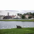 Room for rent in Conway #5