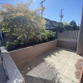 Room for rent in Kitsilano #6
