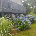 Room for rent in North Providence #3