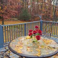 Room for rent in North Providence #5